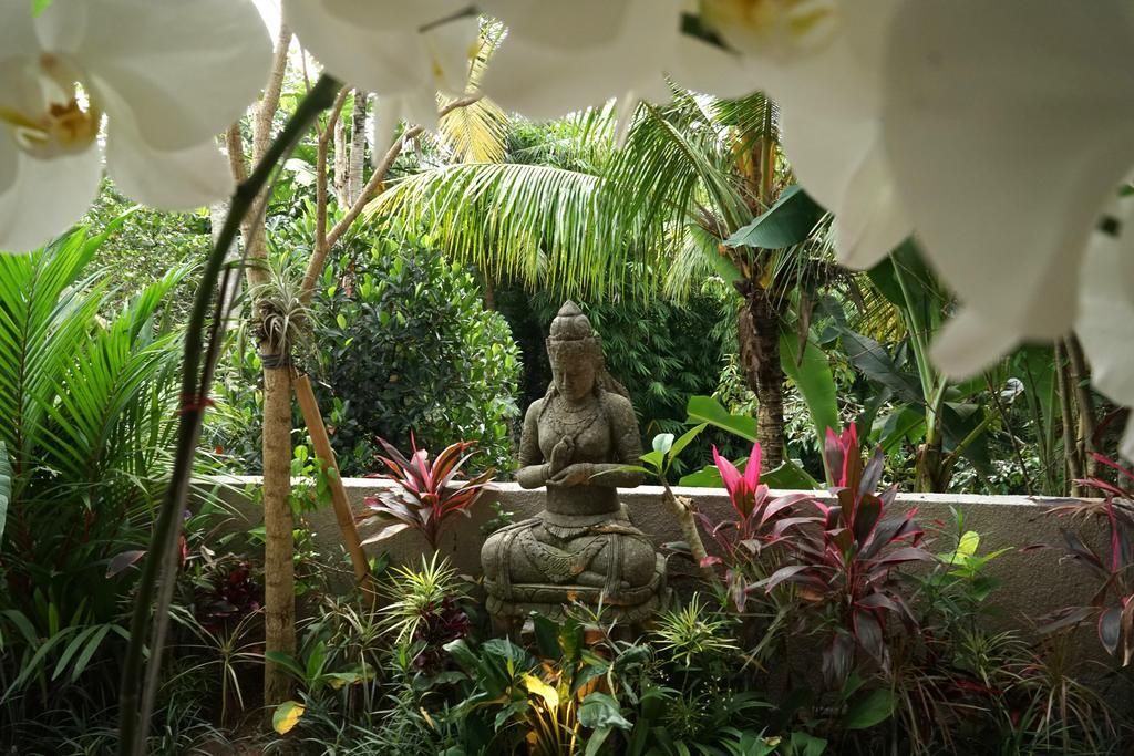 Wisma tamu Cito Ubud (Bali)